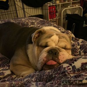 Meet your Posher, Patricia